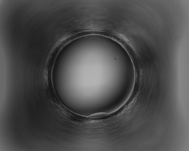 X0000095931307200801111247