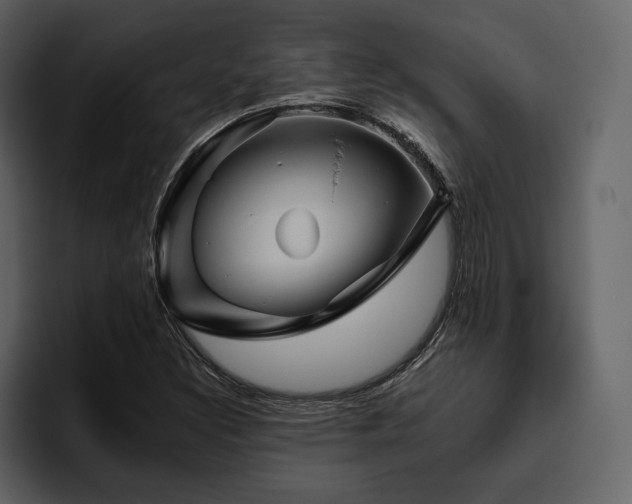 X0000095931308200801111247
