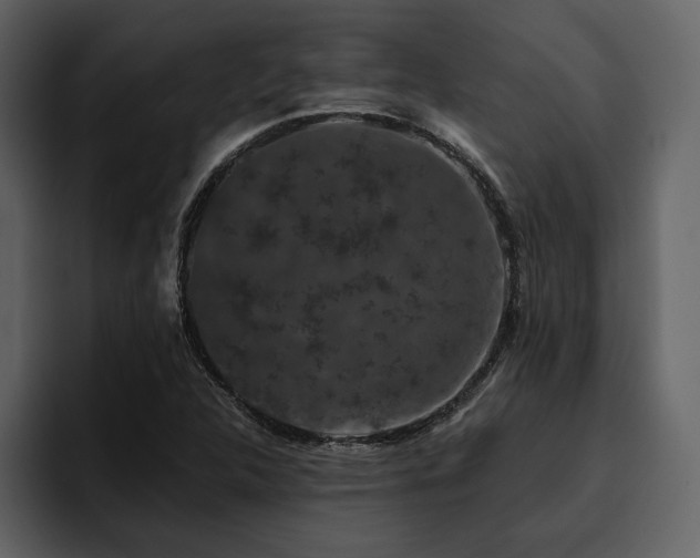 X0000095931312200801111247