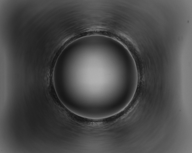 X0000095931313200801111247