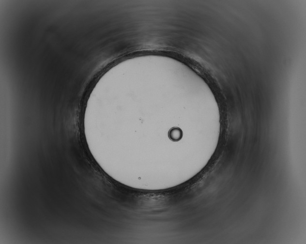 X0000095931314200801111247