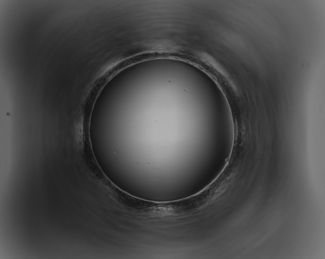 X0000095931315200801111247