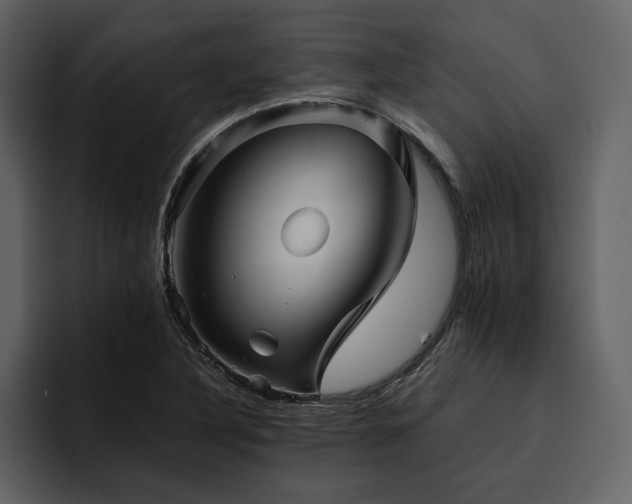 X0000095931316200801111247