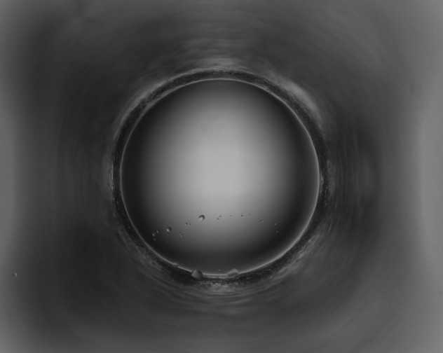 X0000095931318200801111247