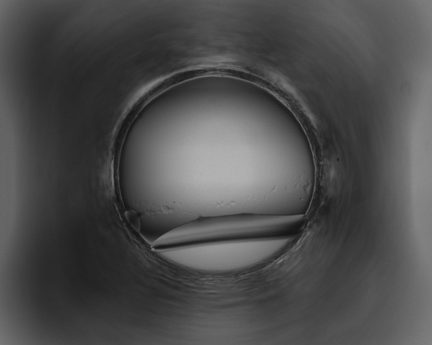 X0000095931320200801111247