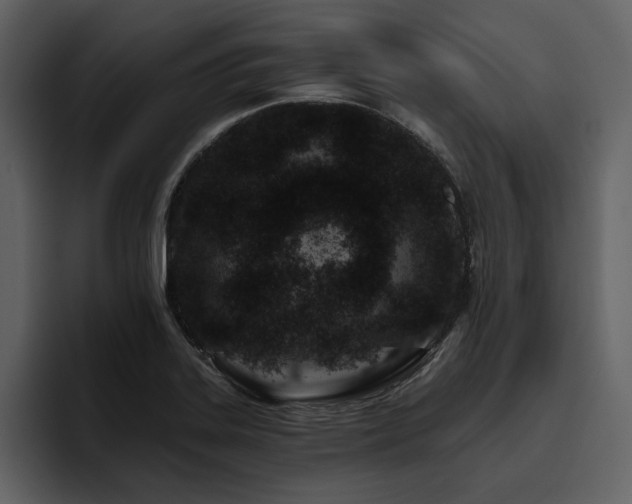 X0000095931323200801111247
