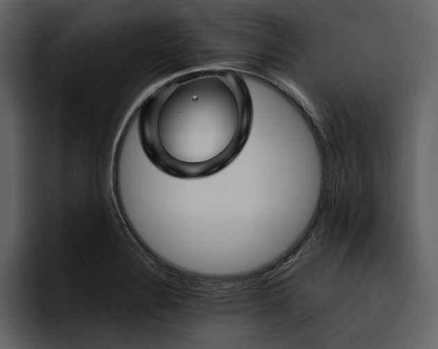 X0000095931324200801111247
