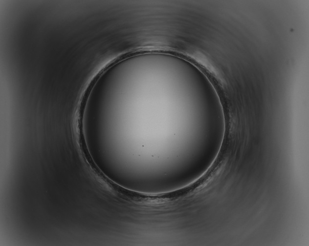 X0000095931325200801111247