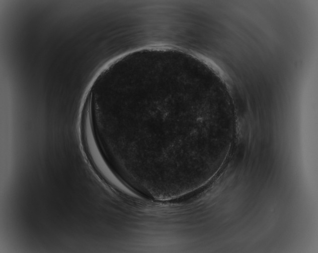 X0000095931327200801111247