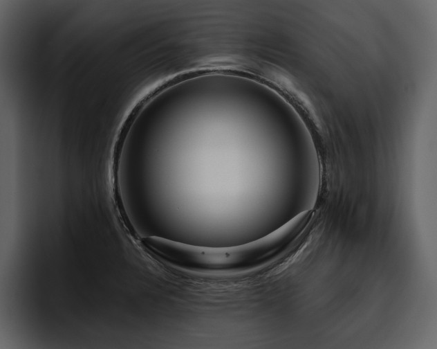X0000095931328200801111247
