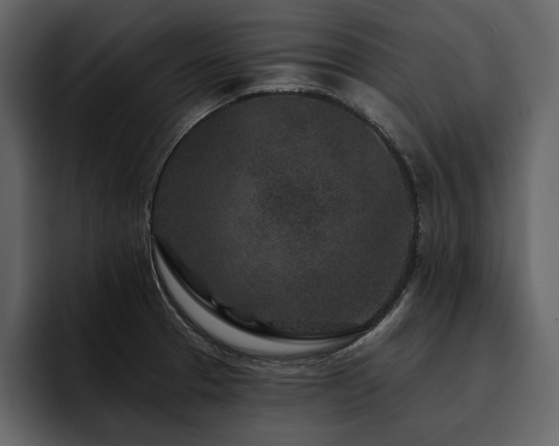X0000095931329200801111247
