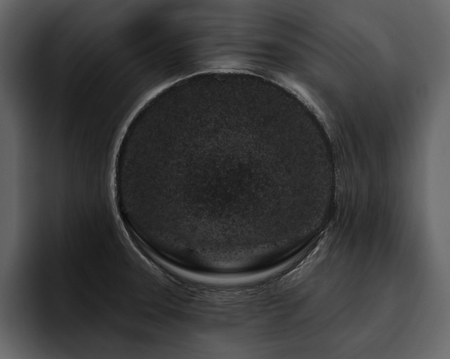 X0000095931331200801111247