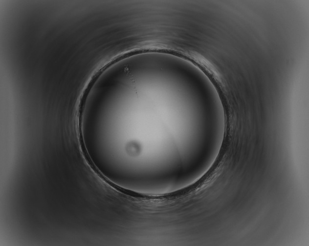 X0000095931334200801111247