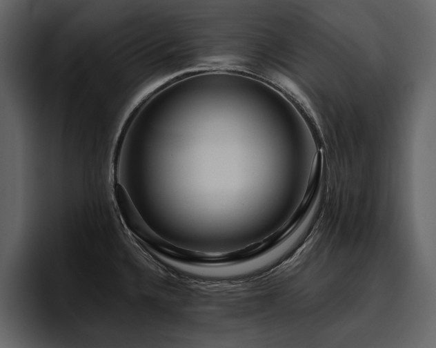 X0000095931336200801111247