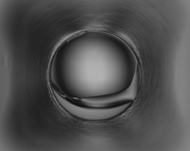 X0000095931344200801111247