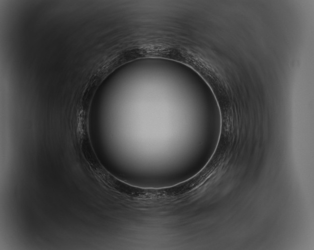 X0000095931346200801111247