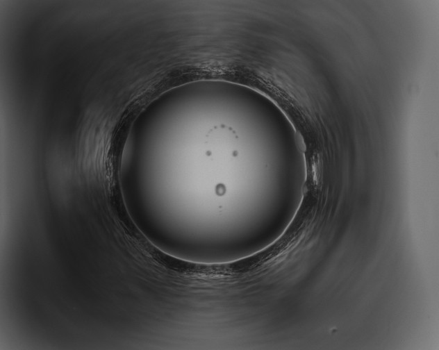 X0000095931347200801111247