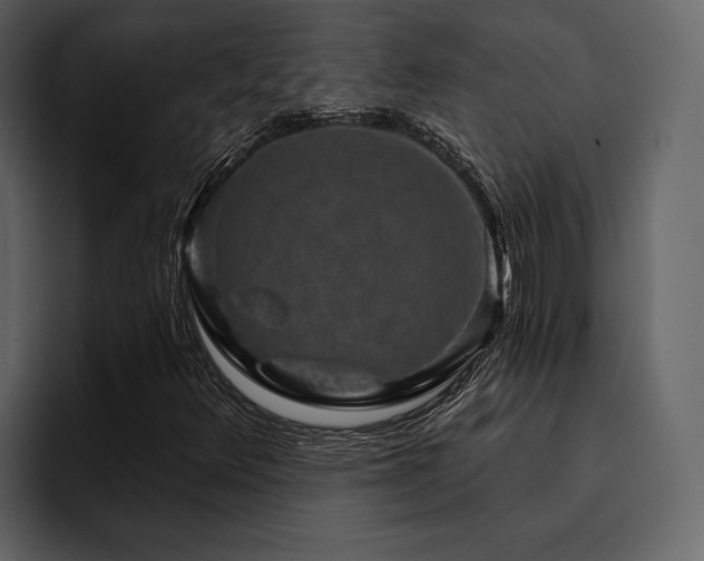 X0000095931348200801111247