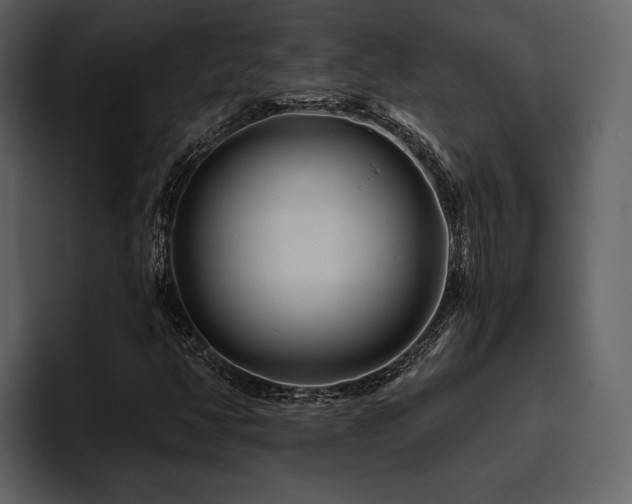 X0000095931350200801111247