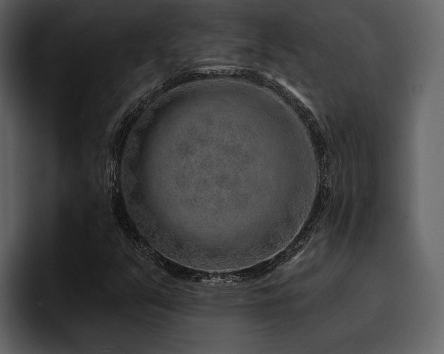 X0000095931351200801111247
