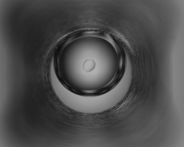 X0000095931352200801111247