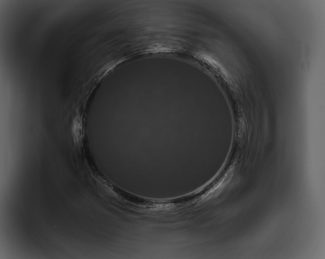X0000095931353200801111247