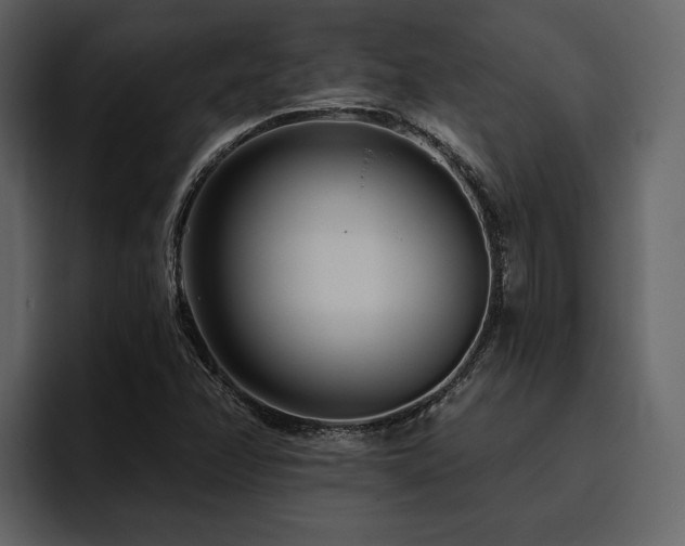 X0000095931358200801111247
