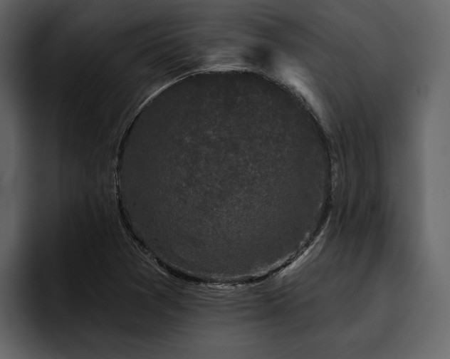 X0000095931361200801111247