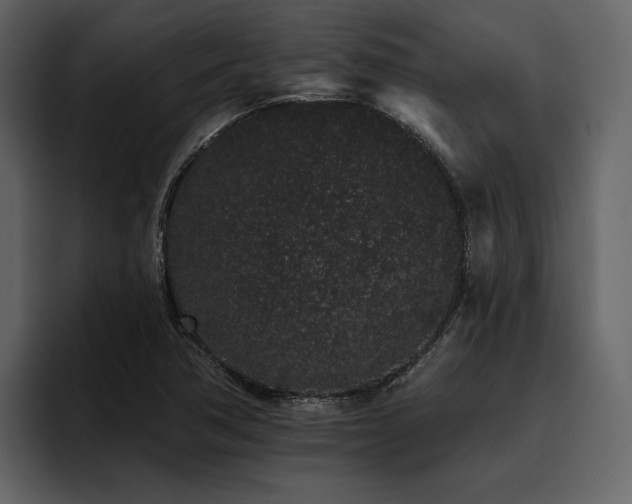 X0000095931362200801111247
