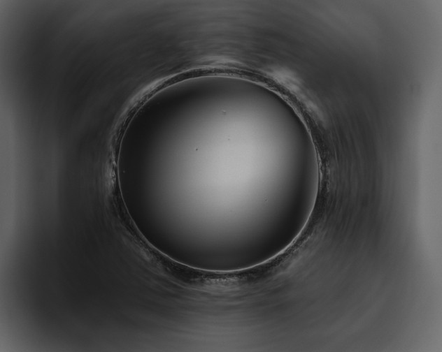 X0000095931363200801111247