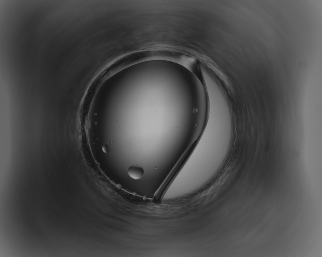X0000095931364200801111247