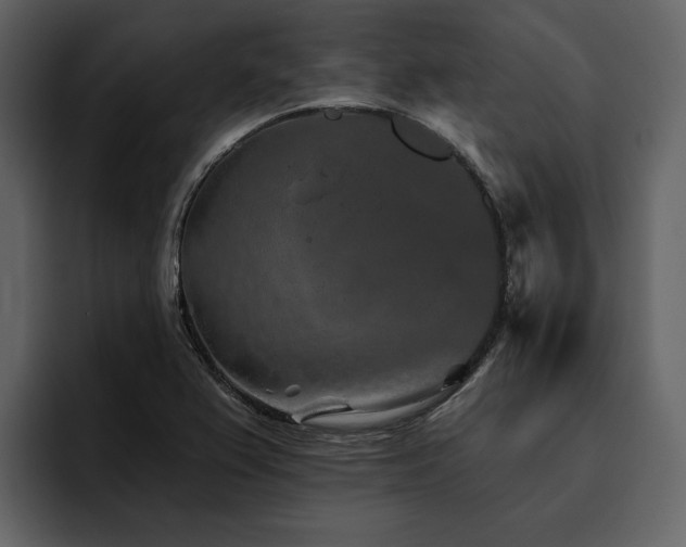 X0000095931367200801111246