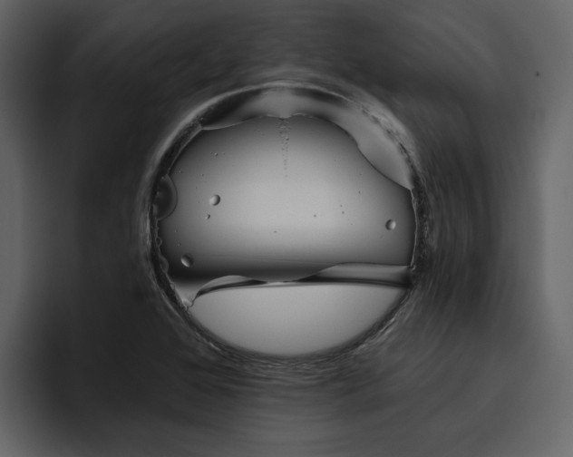 X0000095931368200801111246