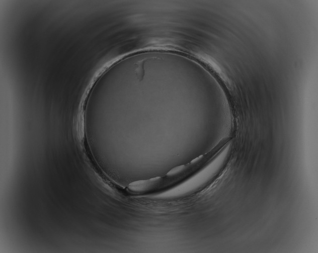 X0000095931371200801111246