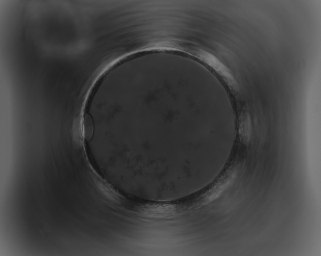 X0000095931372200801111246