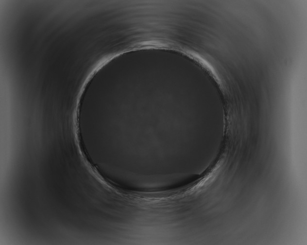 X0000095931373200801111246