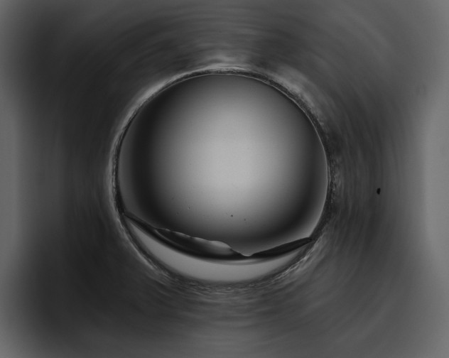 X0000095931375200801111246