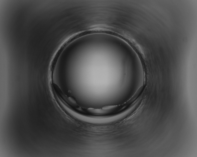 X0000095931376200801111246