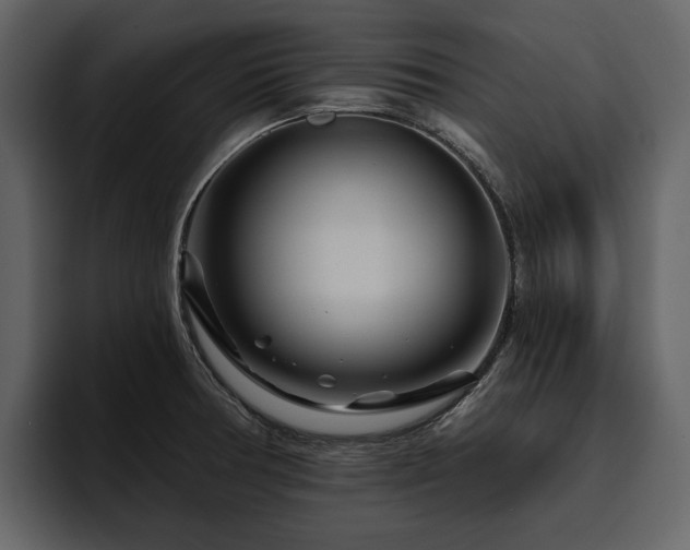 X0000095931378200801111246