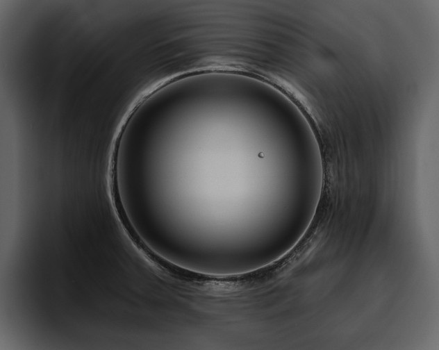 X0000095931379200801111246