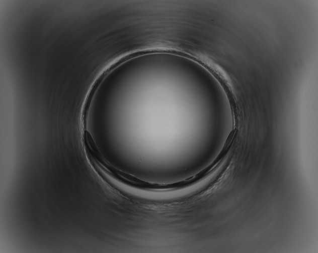 X0000095931380200801111246