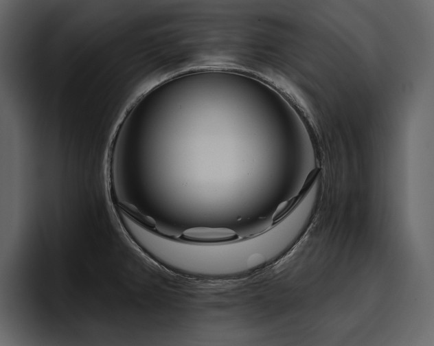X0000095931382200801111246