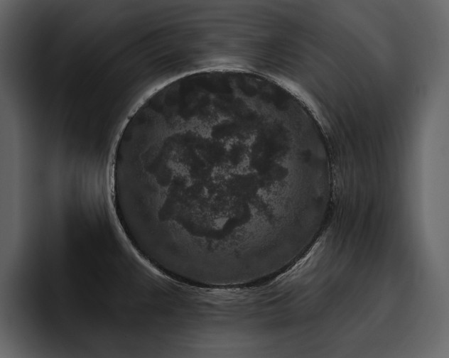 X0000095931383200801111246