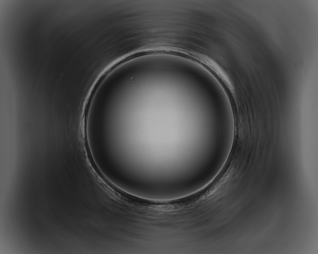 X0000095931388200801111246