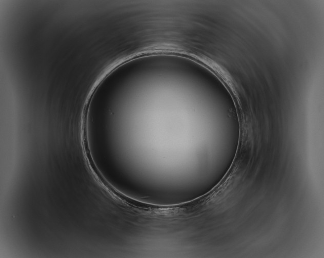 X0000095931390200801111246