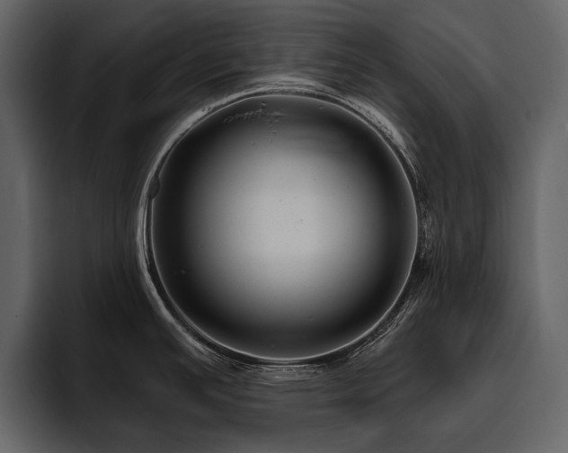X0000095931391200801111246
