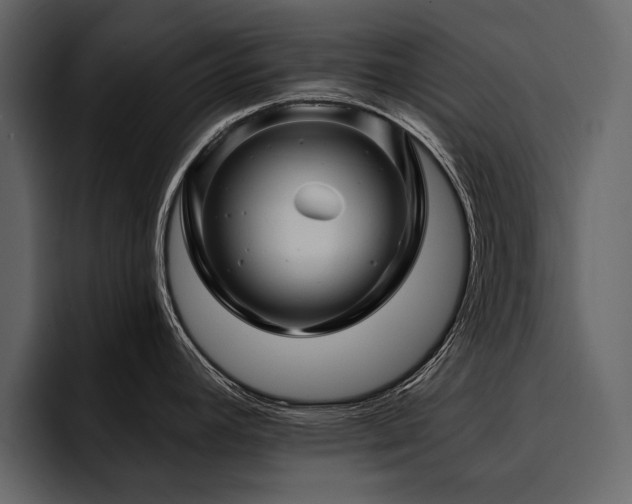 X0000095931392200801111246