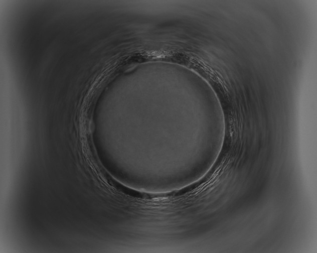 X0000095931393200801111246