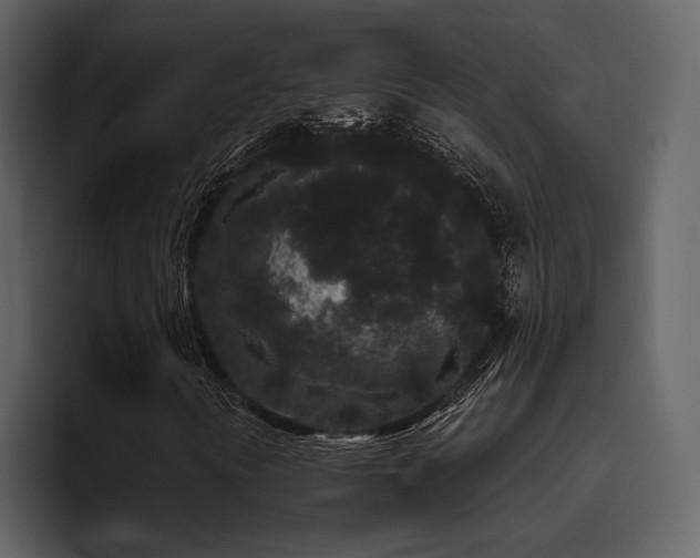 X0000095931394200801111246