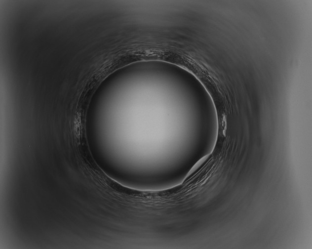 X0000095931395200801111246